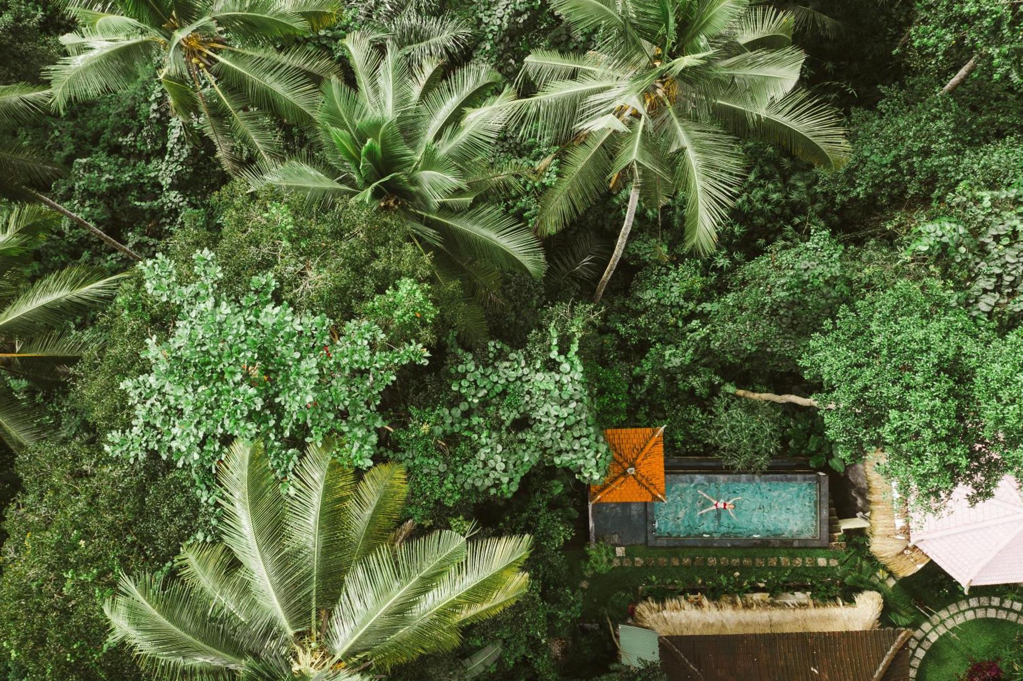 The Nest In Ubud, Bembengan Cottage ภายนอก รูปภาพ